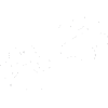 Cat Behavior Counseling 