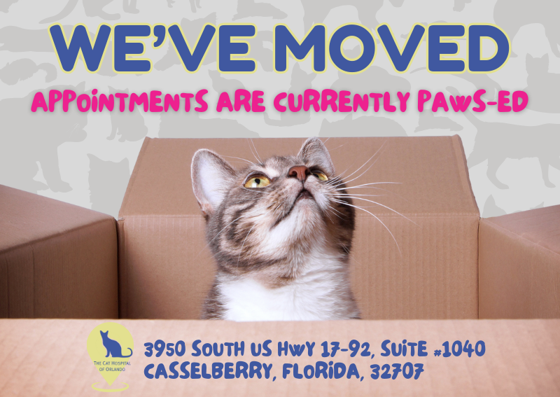 Carousel Slide 1: Learn More >>